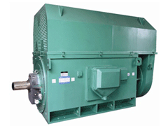 YKK6302-2GJY系列6KV高压电机