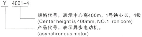 西安泰富西玛Y系列(H355-1000)高压YKK6302-2GJ三相异步电机型号说明