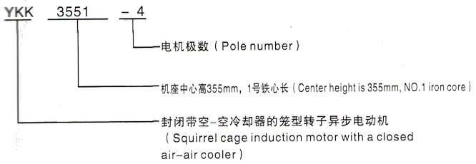 YKK系列(H355-1000)高压YKK6302-2GJ三相异步电机西安泰富西玛电机型号说明